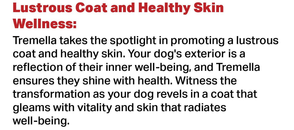 Canine Complex Mushroom Powder