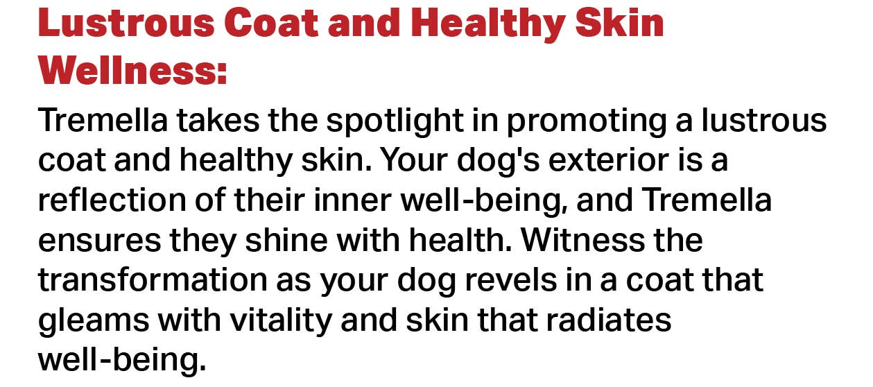 Canine Complex Mushroom Powder