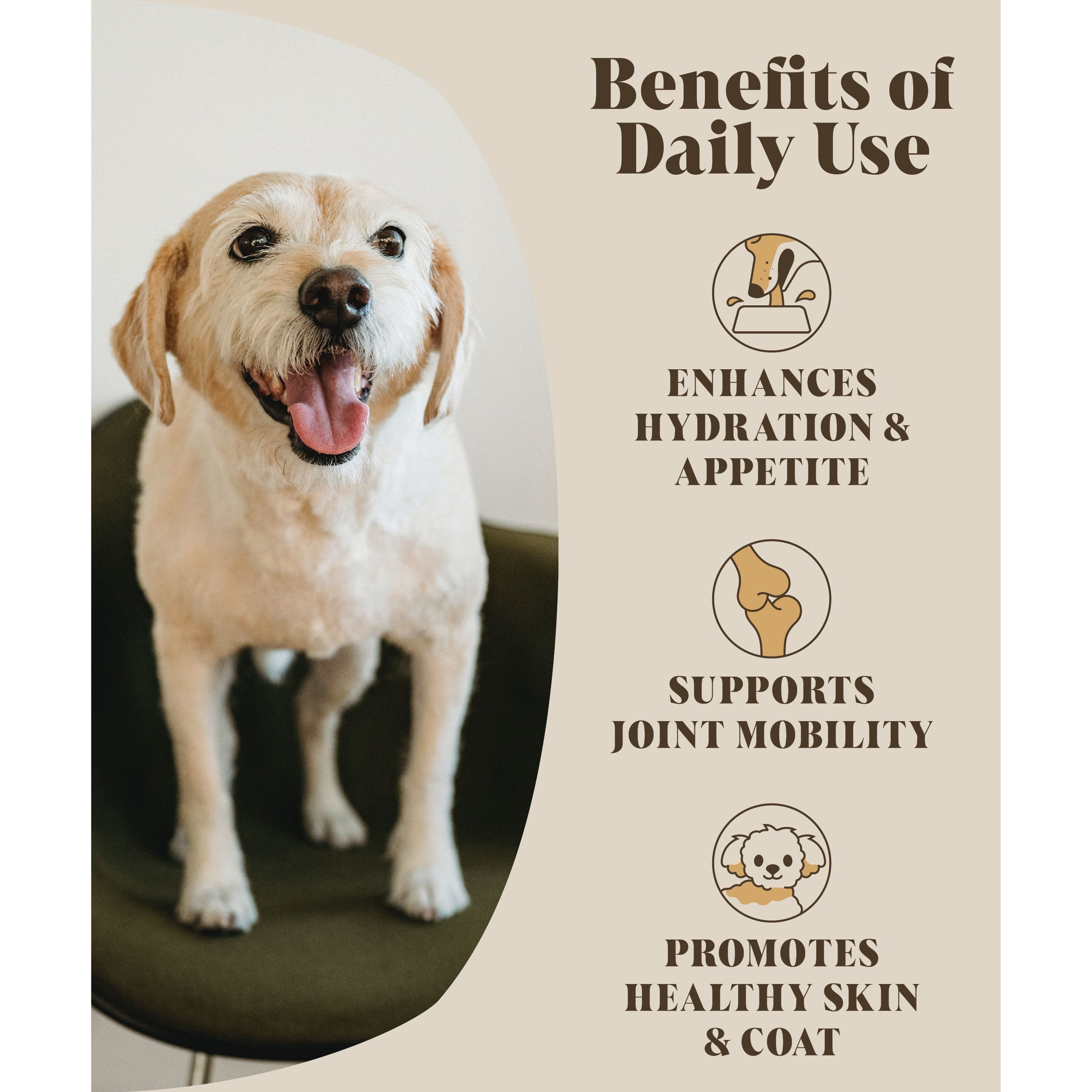 Bone Broth for Dogs | Dog Gravy Food Topper for Picky Eaters - Lovable Hounds