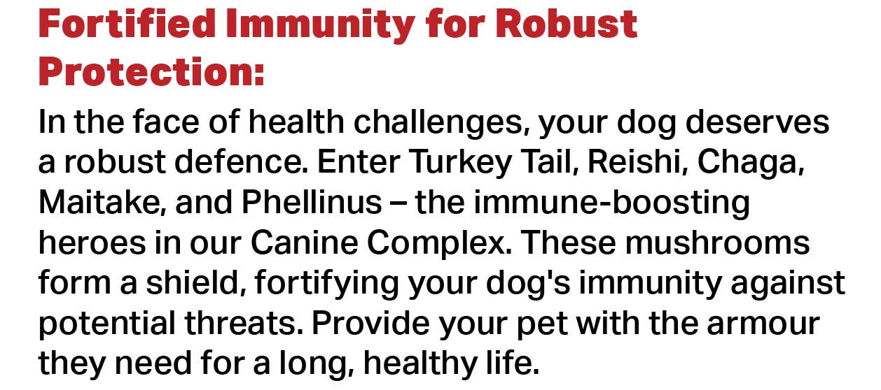 Canine Complex Mushroom Powder