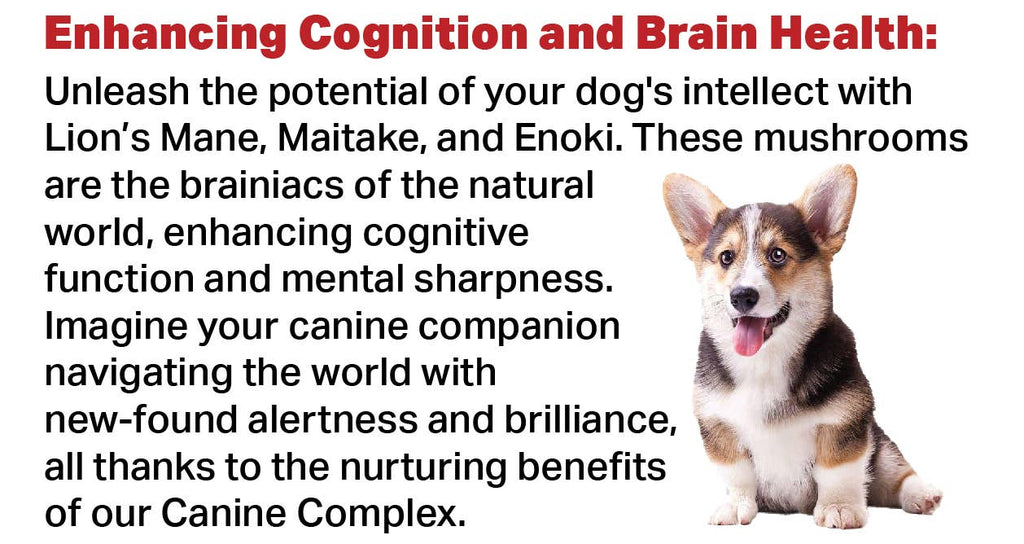 Canine Complex Mushroom Powder