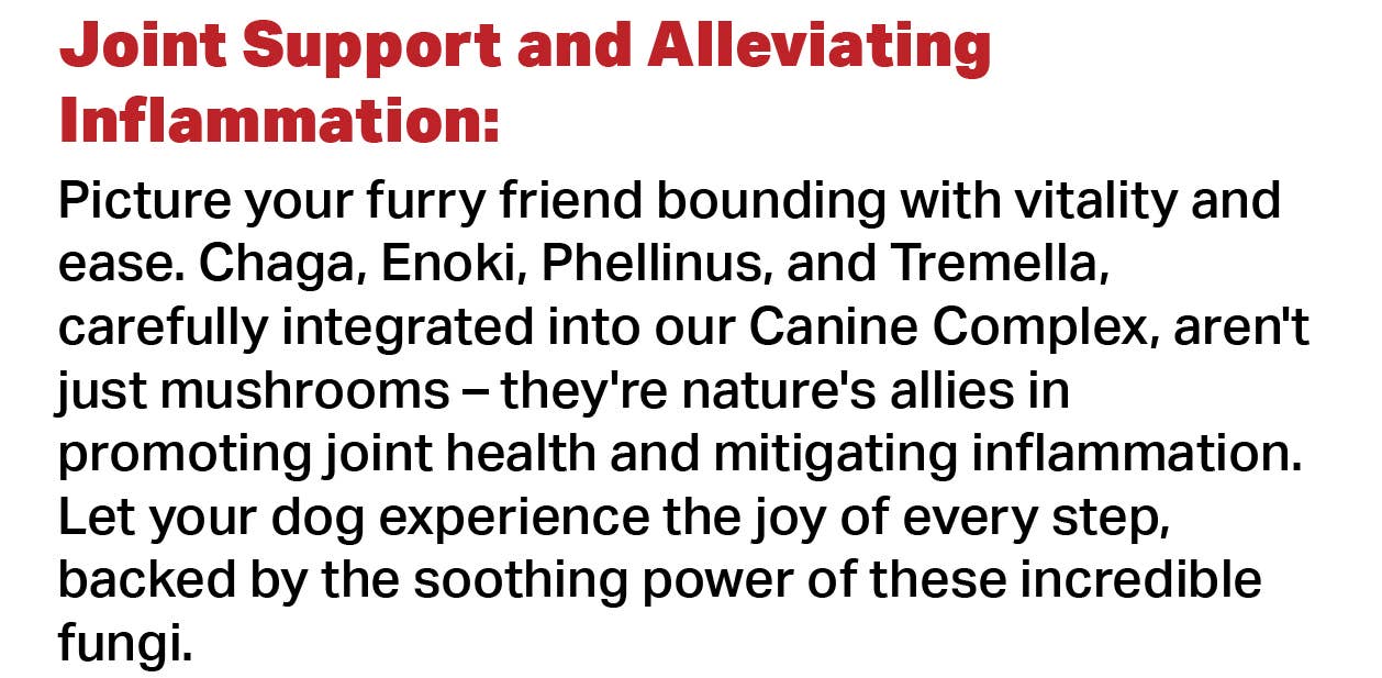 Canine Complex Mushroom Powder