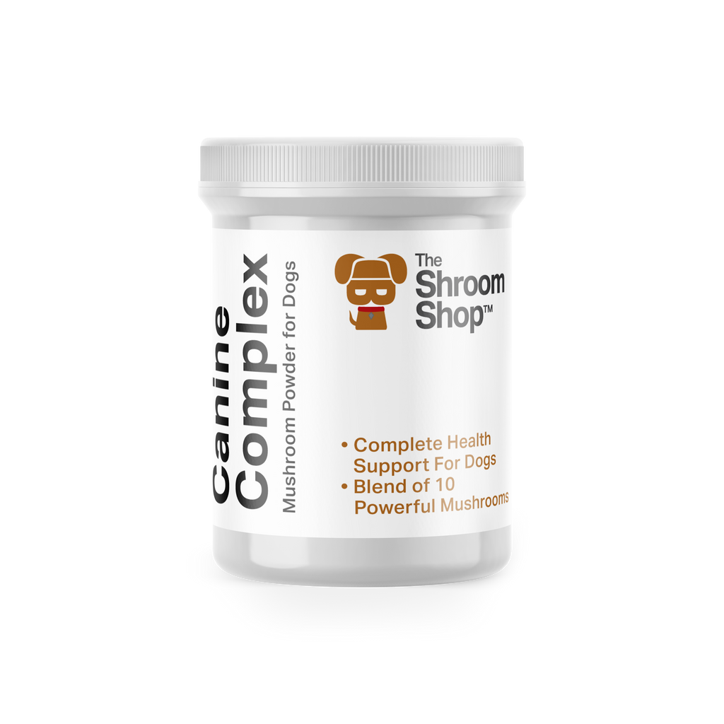 Canine Complex Mushroom Powder