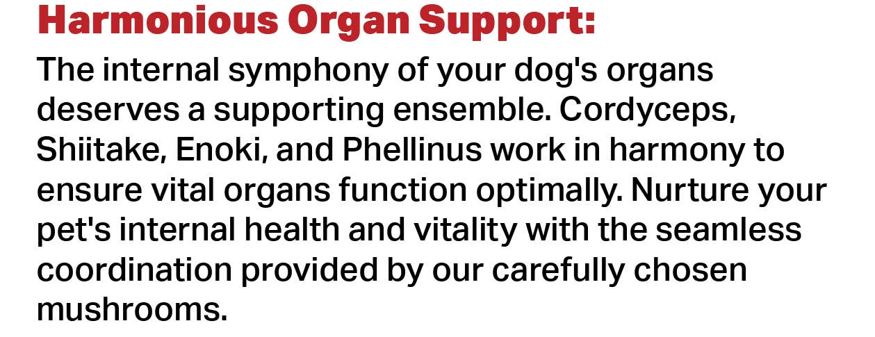 Canine Complex Mushroom Powder