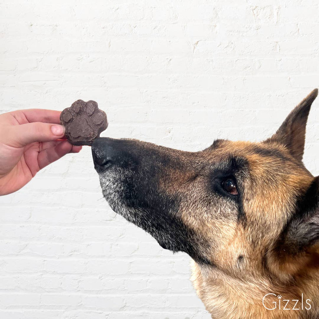 Zoomie Bites – The Purple One