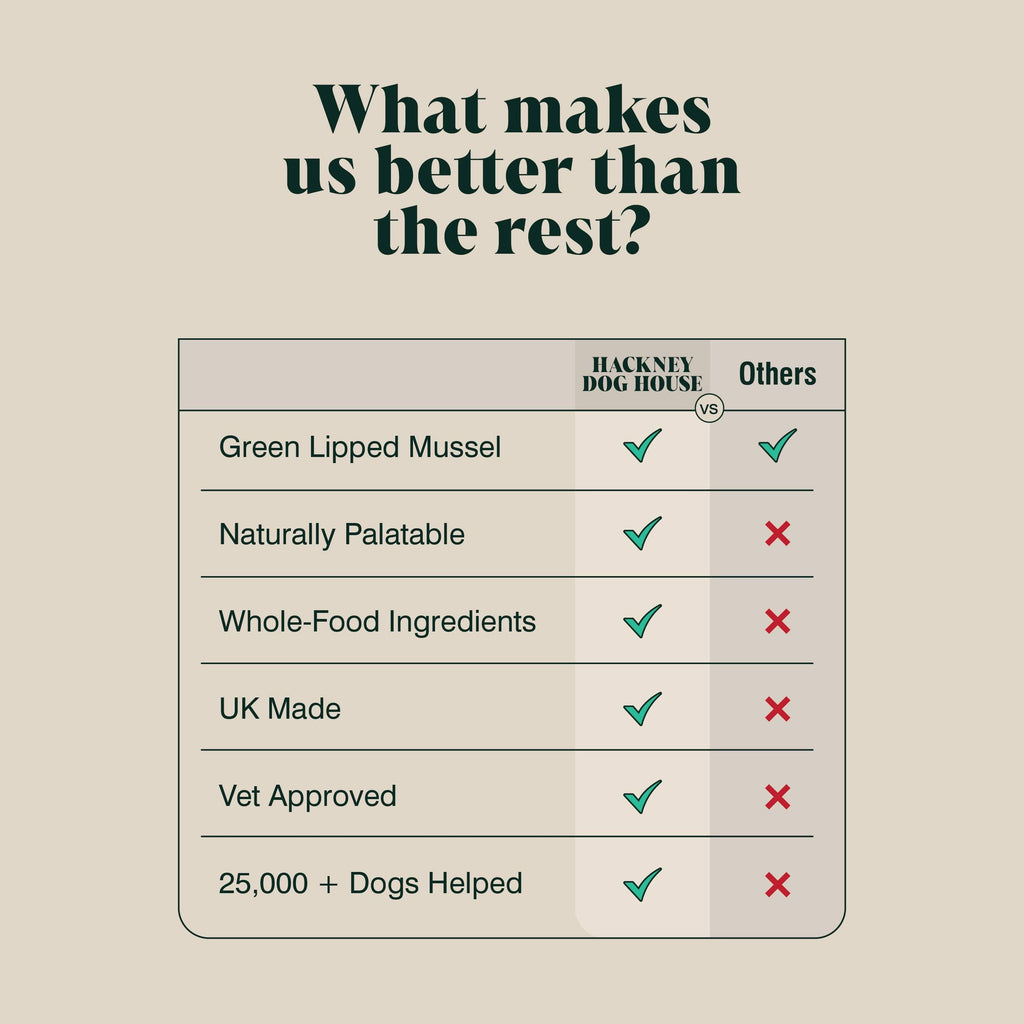 Green Lipped Mussel Powder for Dogs | 80 Servings - Lovable Hounds