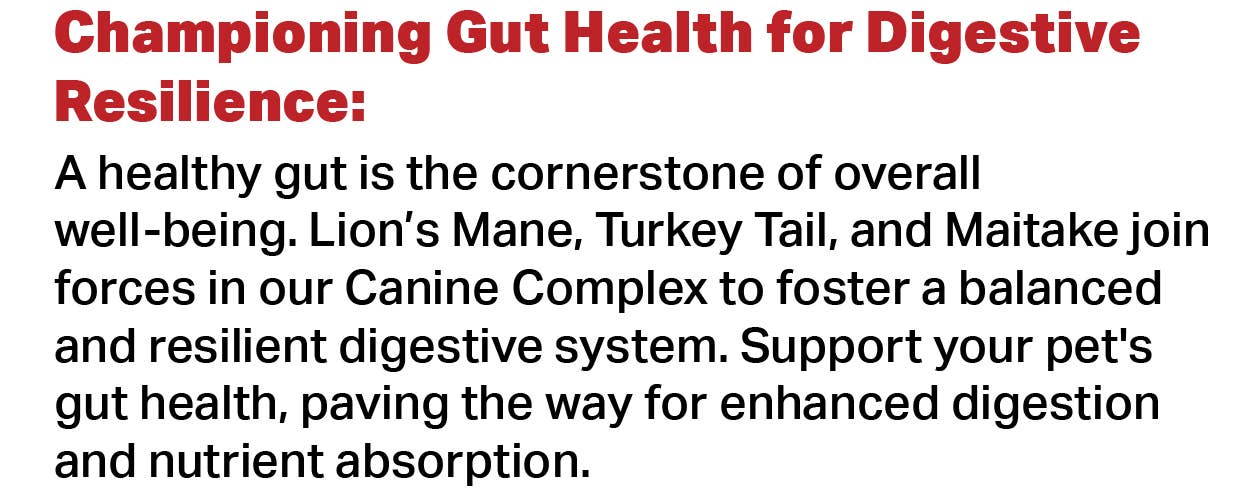 Canine Complex Mushroom Powder