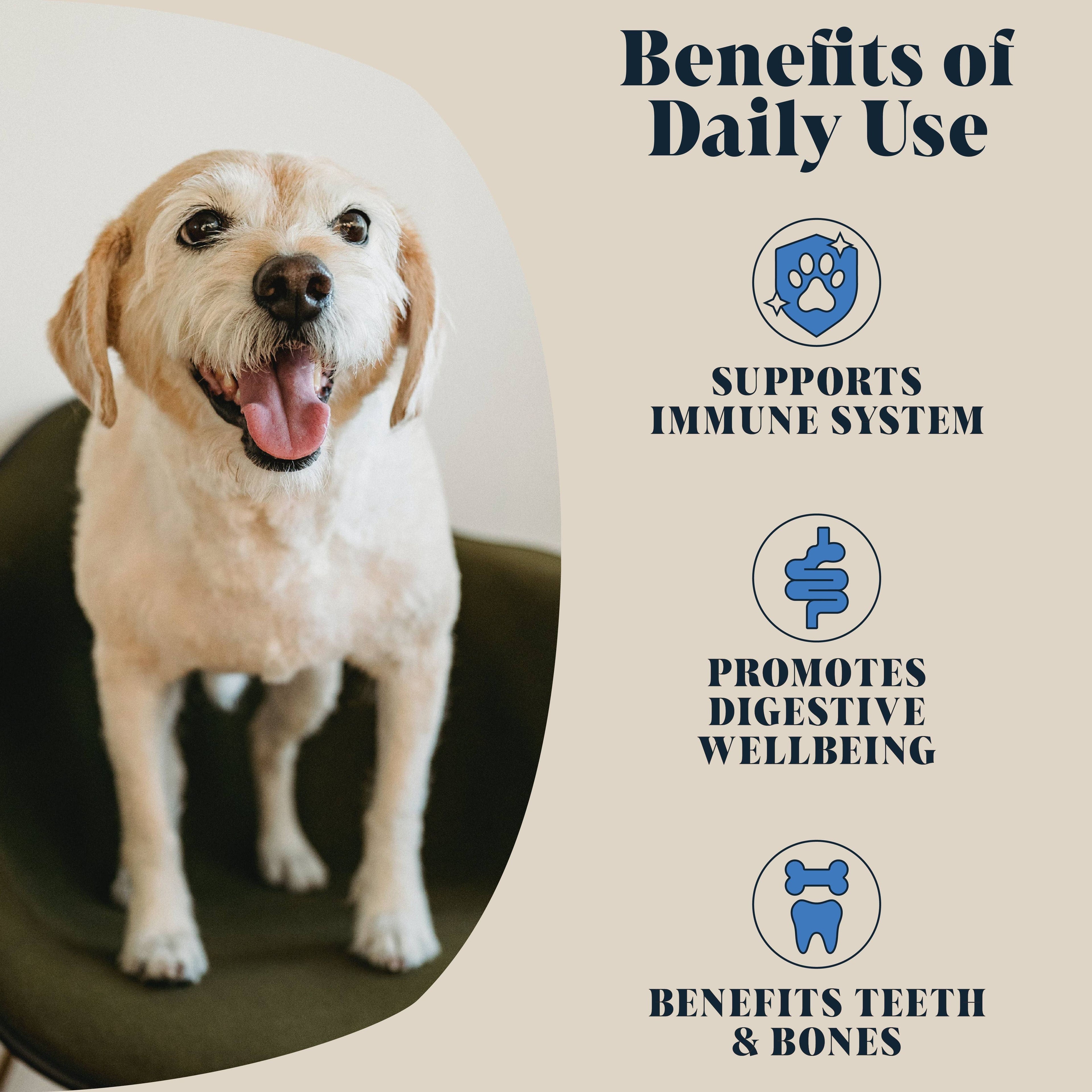 Goats Milk Powder for Dogs | Makes Twelve Pints - Lovable Hounds