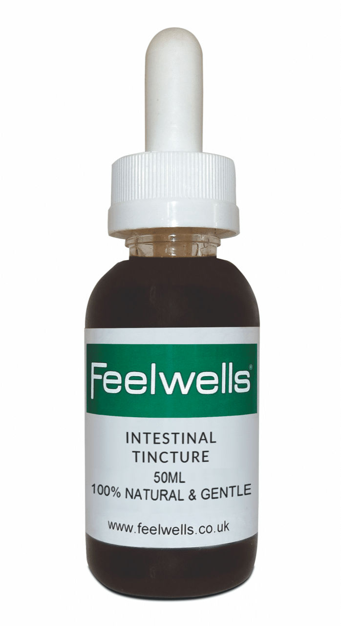 Feelwells Intestinal Tincture (Natural Wormer) 50ml - Lovable Hounds