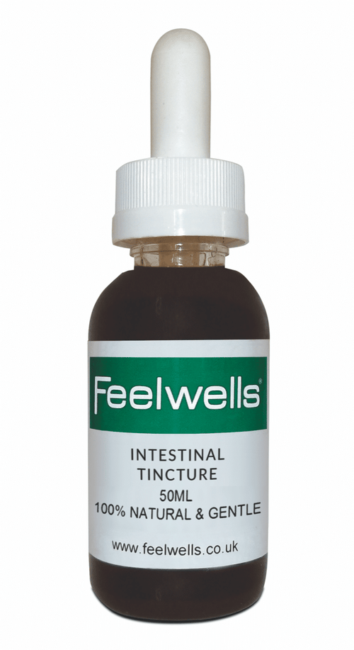 Feelwells Intestinal Tincture (Natural Wormer) 50ml - Lovable Hounds