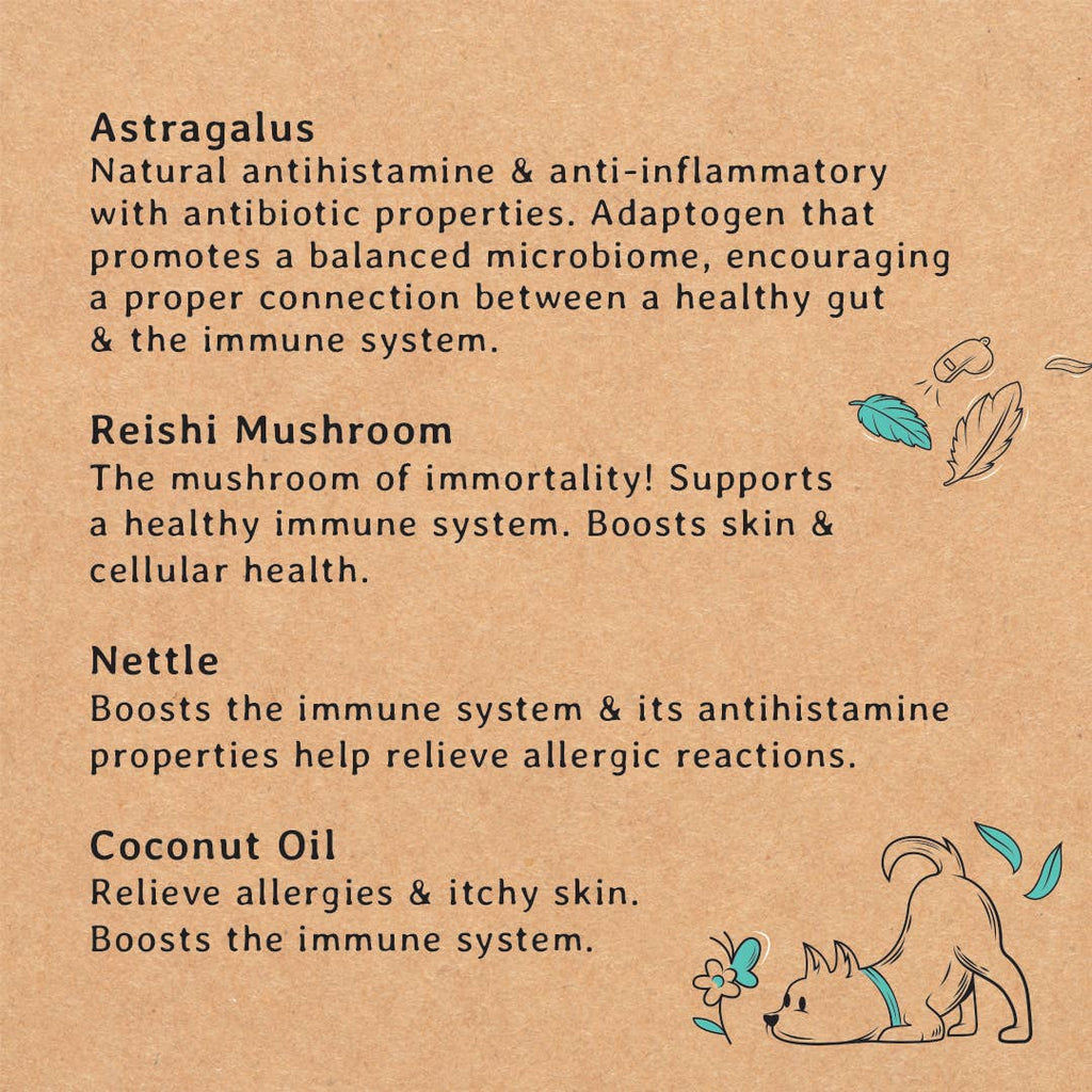 Gizzls 100% Natural Dog Treats for Allergies and Immunity