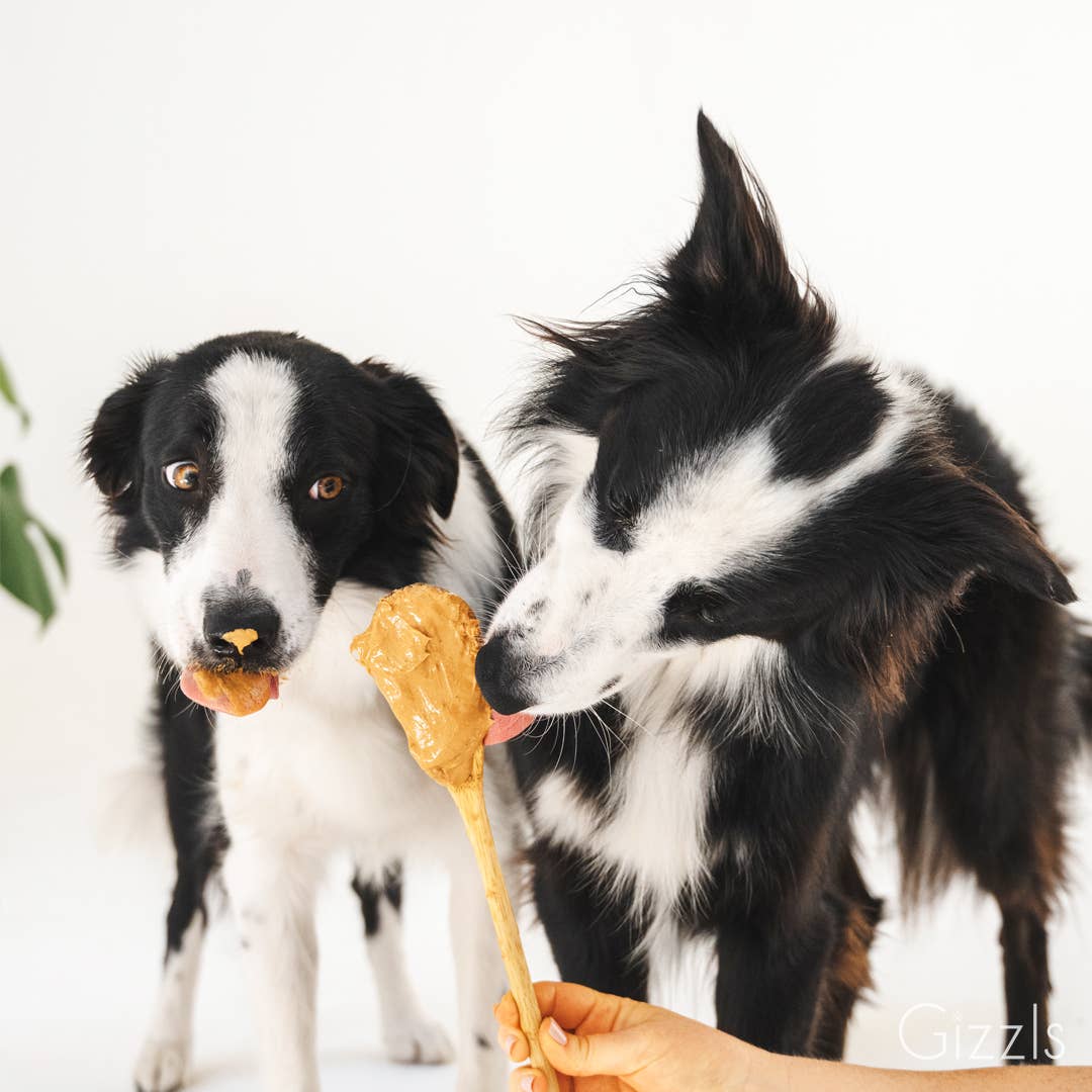Gizzls 100% Natural Dog Treats for Allergies and Immunity