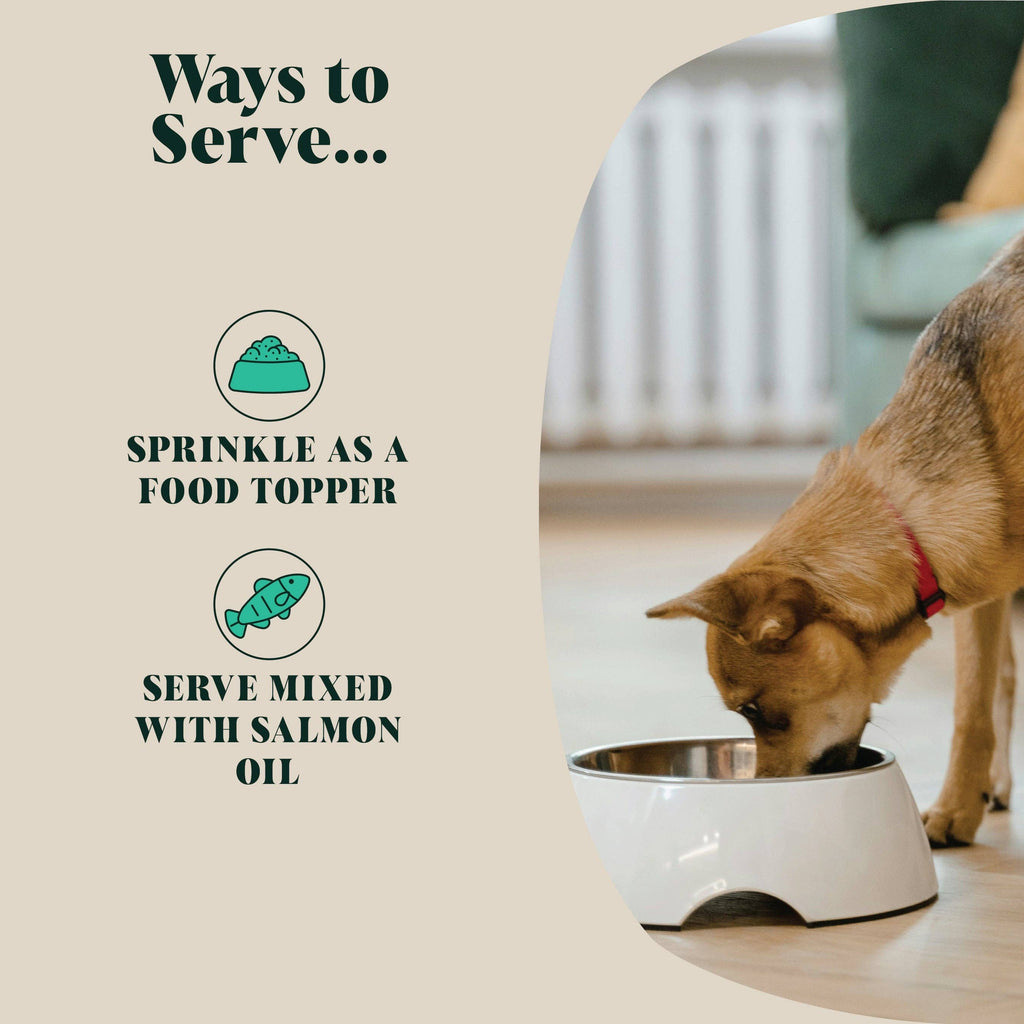 Green Lipped Mussel Powder for Dogs | 80 Servings - Lovable Hounds