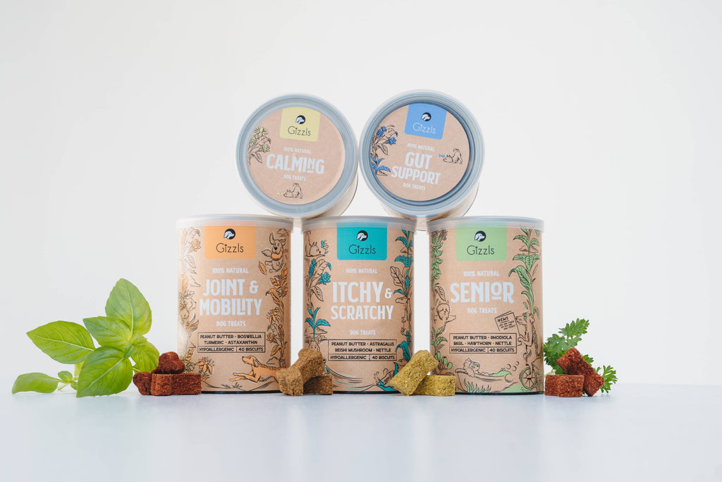 Gizzls 100% Natural Dog Treats for Allergies and Immunity