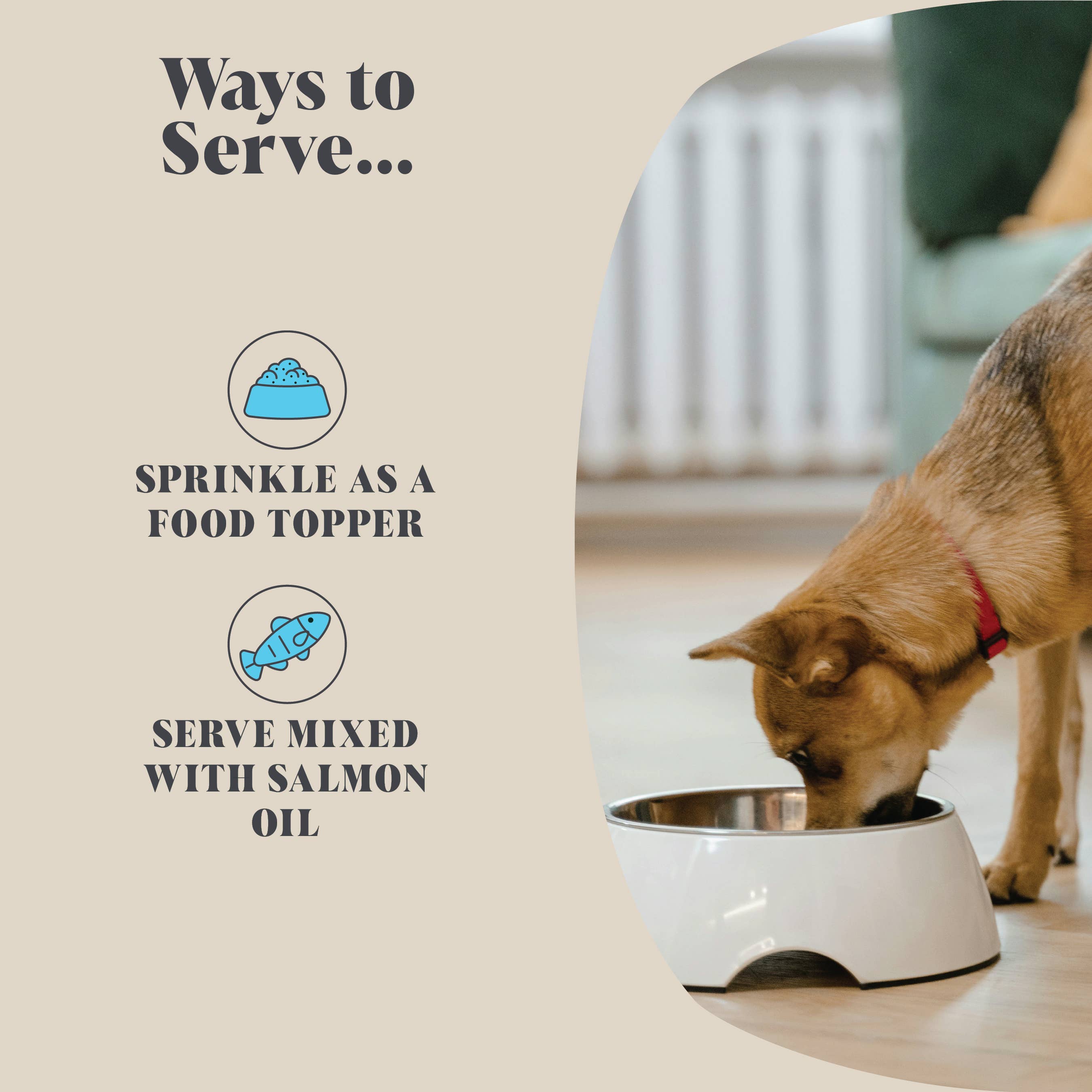 Single Pack | Plaque Seaweed Powder for Dogs | 80 Servings | - Lovable Hounds