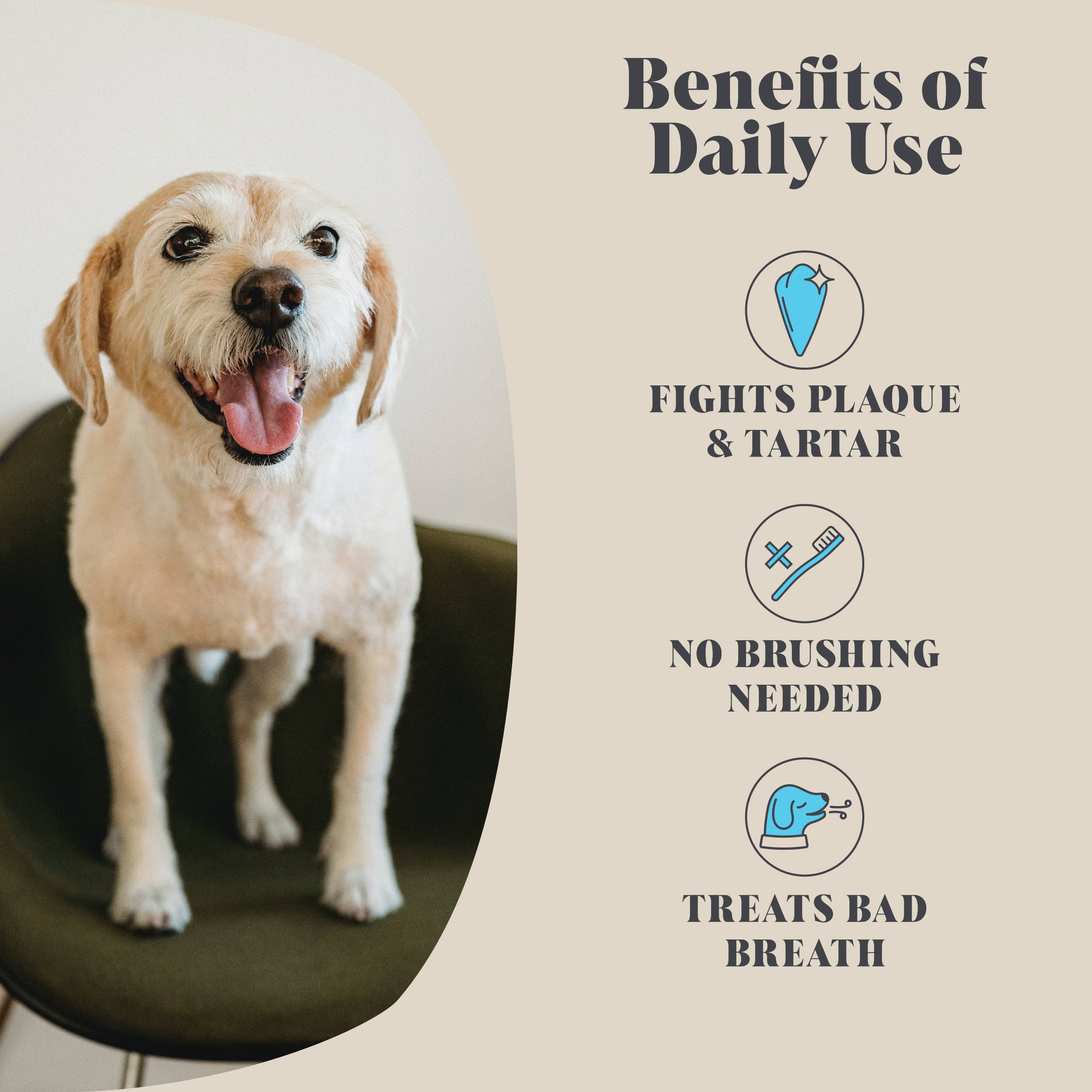 Single Pack | Plaque Seaweed Powder for Dogs | 80 Servings | - Lovable Hounds
